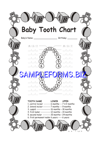 Baby Teeth Chart 2 pdf free